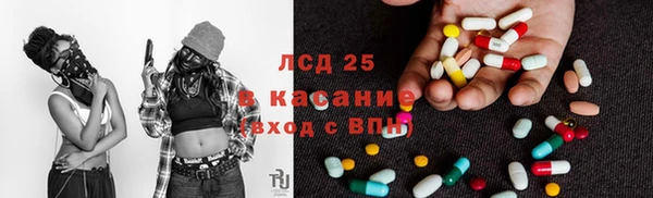 PSILOCYBIN Белокуриха
