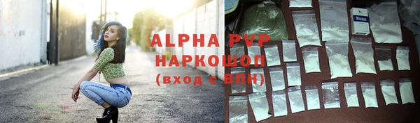 PSILOCYBIN Белокуриха