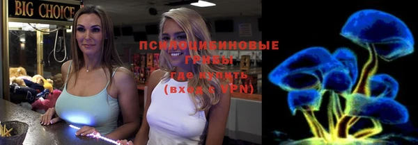 спайс Беломорск