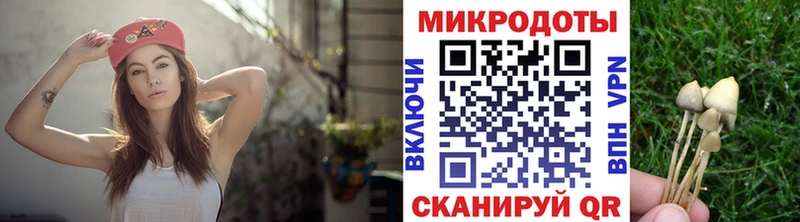 цены Горняк Галлюциногенные грибы Magic Shrooms